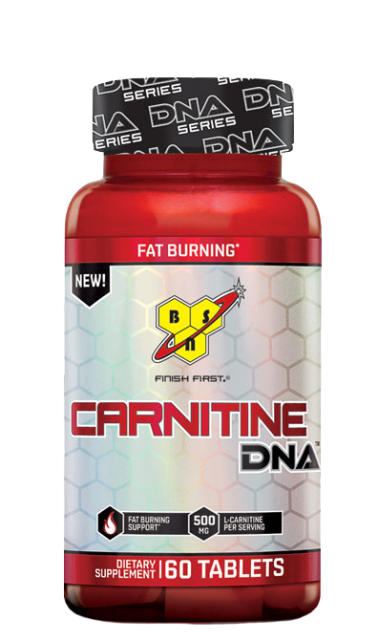 Carnitine DNA